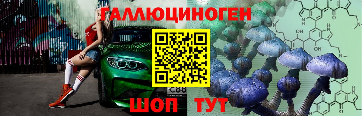 Псилоцибиновые грибы Psilocybe Грязи